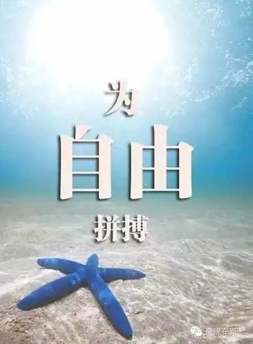 社会 正文  #致敬青春# 为自己而活!