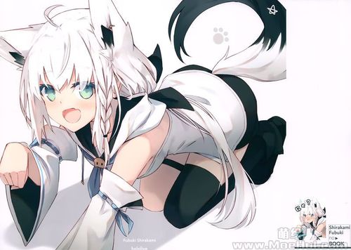 会员画集whiteparabellum凪白みとshirakamifubukinobook16p