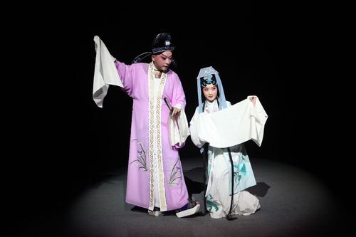 6月18日王文洋编导演新版《必正与妙常》不见不散!