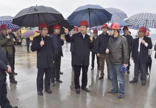 区政府区长种及灵,区人大常委会主任李景耀,区政协主席徐志红等到龙桥