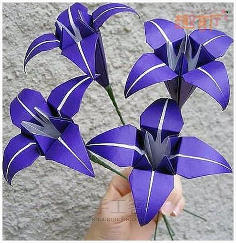 漂亮又简单的纸花折纸 简易折纸花大全