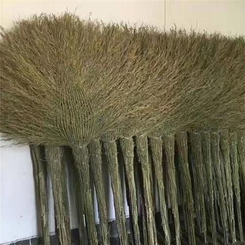 优质竹扫把 笤帚厂家直销 工地 学校专用清洁工具 批发