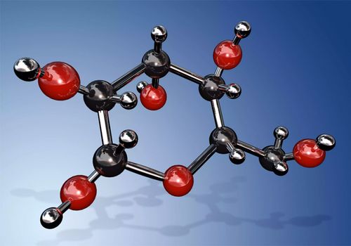 葡萄糖分子可用于化学能或用作制造更大分子的构件