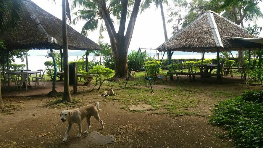 塔尔湖旅游景点攻略图