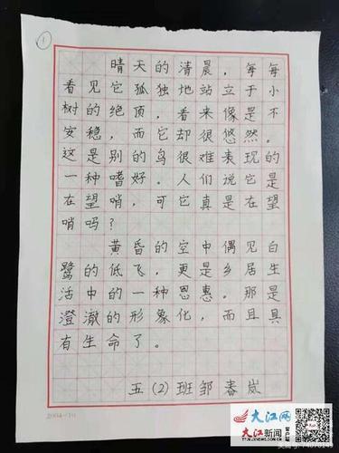 用心写字,踏实做人——德安三小举行硬笔书法比赛(组图)
