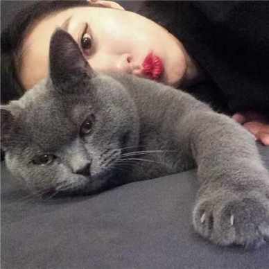 情侣抱猫咪头像黑白