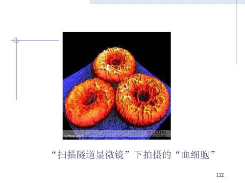 量子力学课件完整版 "扫描隧道显微镜"下拍摄的"血细胞" 112