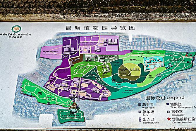 昆明植物园