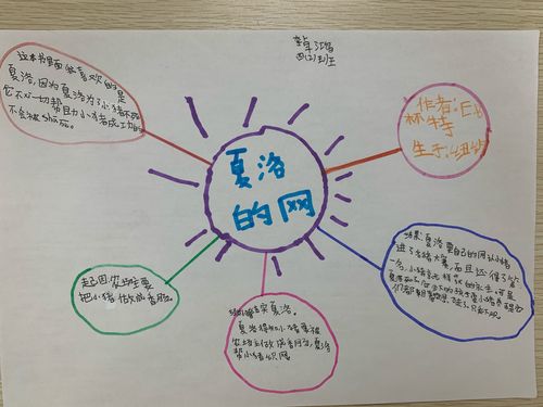 四2班 《夏洛的网》思维导图展示