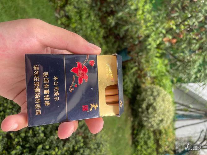 迟到一年的春天 - 香烟品鉴 - 烟悦网论坛