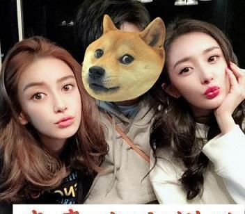 杨幂杨颖的qq头像大全下载迅雷下载地址