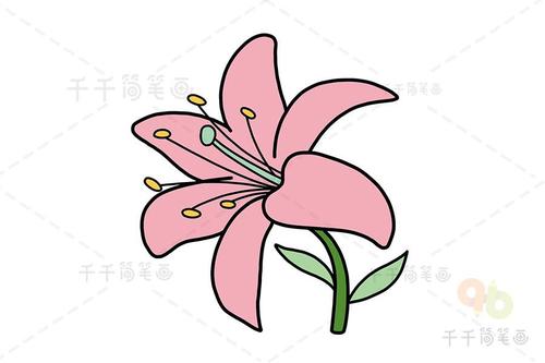 百合花简笔画 幼儿绘画必备