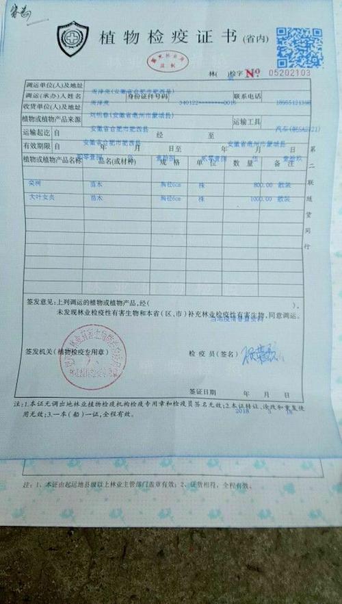 5月19日森林公园东区苗木绿化工程一,三标段施工内容