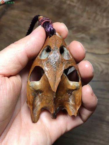 "黄大仙"黄鼠狼头骨吊坠