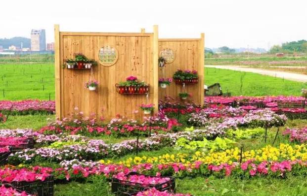 南海花卉博览园