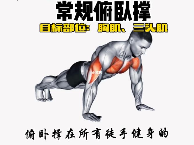 常规俯卧撑_俯卧撑_运动健身_健身动作_肌肉男养成中