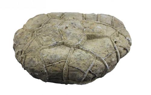 化石现金收购找日旺