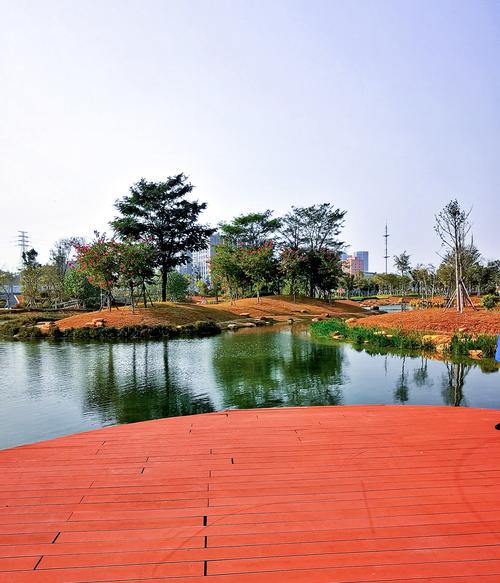 光明鹅颈水湿地公园美如画