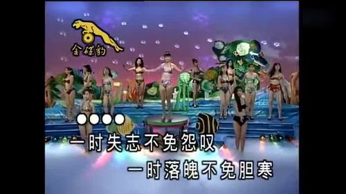 闽南语经典老歌《爱拼才会赢》十二大美女-泳装版
