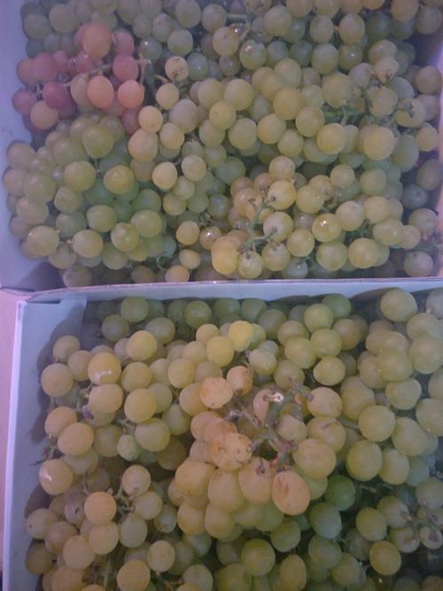奶油葡萄,甜