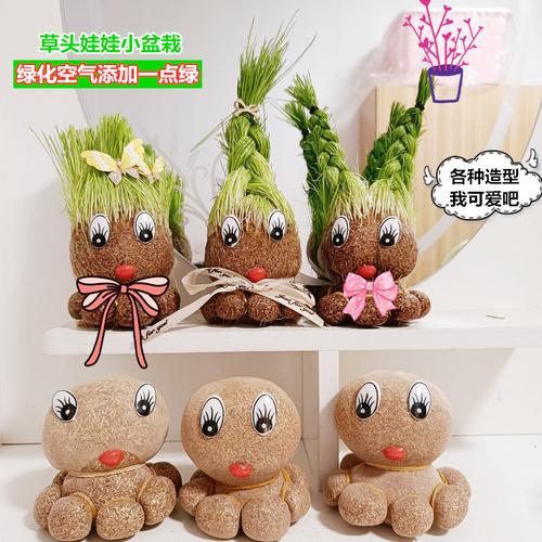 草头娃娃 头上长草盆栽创意迷你植物种植小盆栽幼儿园学生礼品物