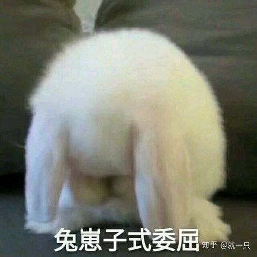 有没有那种扯衣角很委屈的表情包