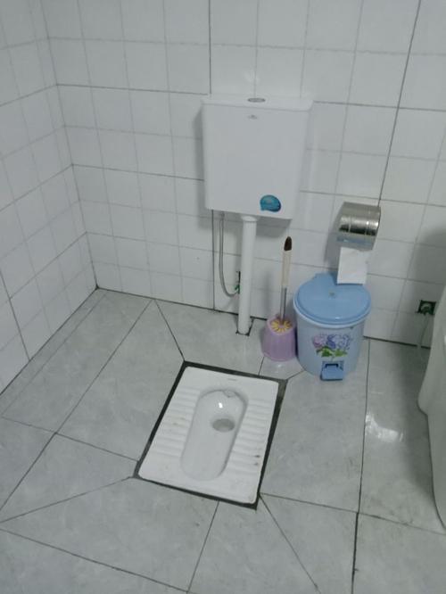 彭山全域推进"厕所革命" 今年将创建"厕所革命"整村推进示范村26个