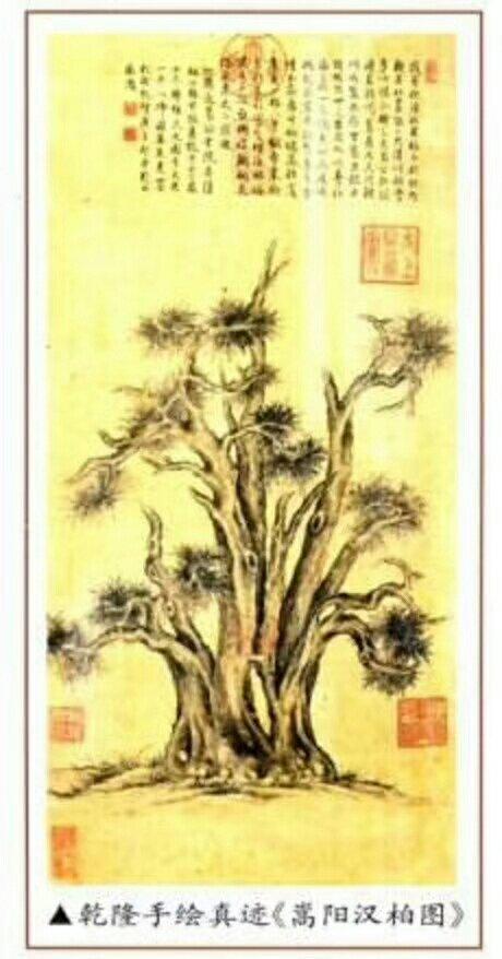 《嵩阳汉柏图》——被骗8000多万告诉我们什么?