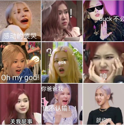 沙雕表情包 | rose_表情包_沙雕_blackpink_朴彩英_薯条_素材_表情包