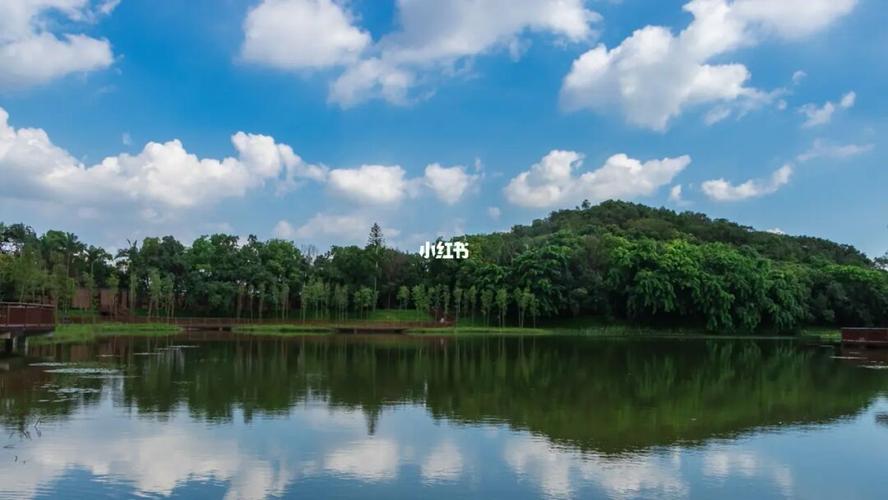 平湖生态园_平湖生态园攻略_平湖生态园_景点_出行_人文风光展示_景点