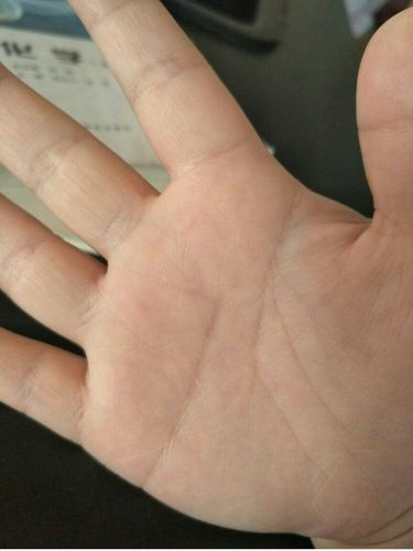 手掌纹路图解:感情线