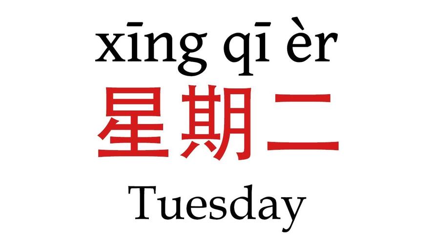 《你所不知的星期二》日更80日