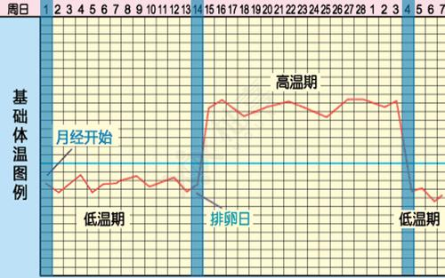 了解怀孕基础体温,准确预测排卵求好孕