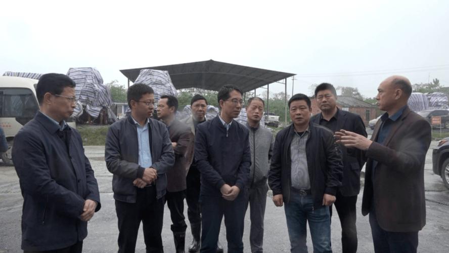 新干县县长督办环保问题整改工作