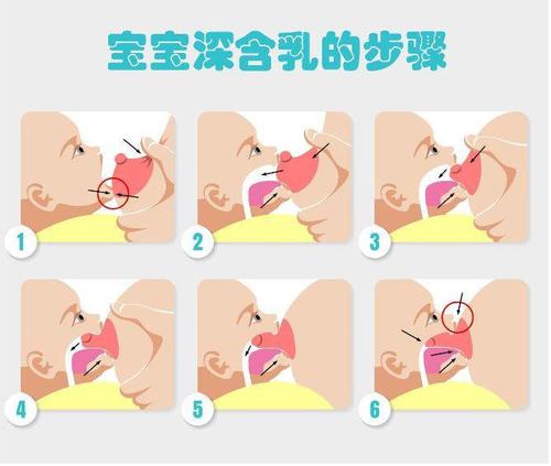 其余手指和手掌放在乳晕下方,微微用力将乳房捏得扁一些,方便宝宝含乳