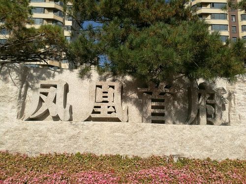 凤凰首府隶属于美丽的丹东凤城市,坐落在险峻秀丽的凤凰山附近,这里