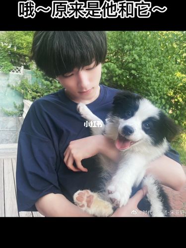 小宋和他的公主～_宋亚轩_狗狗_鼠标_娱乐_明星娱乐