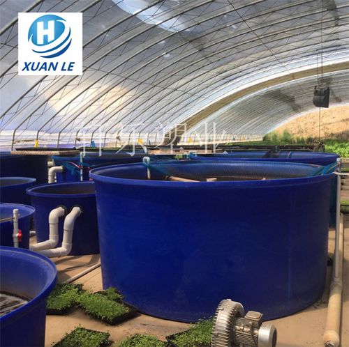 五吨塑料大圆桶 工厂化水产养殖桶鱼苗孵化桶巨型水产