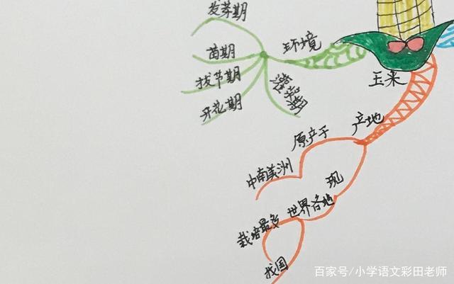 中高年级阅读科普类文章,画思维导图去理解,情况有点