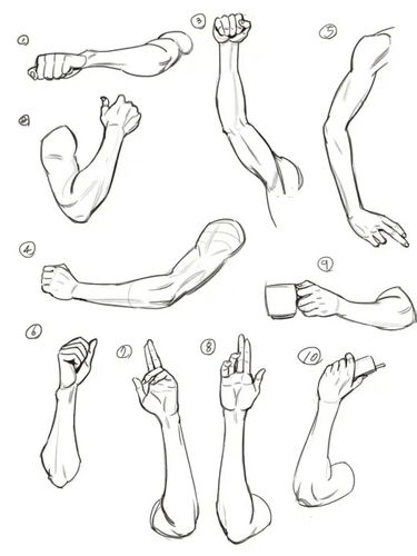 素材不同人群的手臂肌肉结构