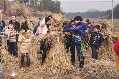 参加江山新塘边荸荠节的游客在田间体验扎稻草人.
