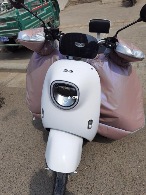 喜提雅迪冠能m6mini电动车_电动车_迷你_冠能怎么样_雅迪怎么样_汽车