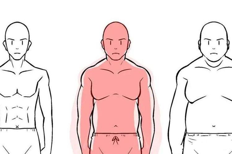 画胖子需要注意哪些问题?-黄鹤楼动漫动画设计制作公司