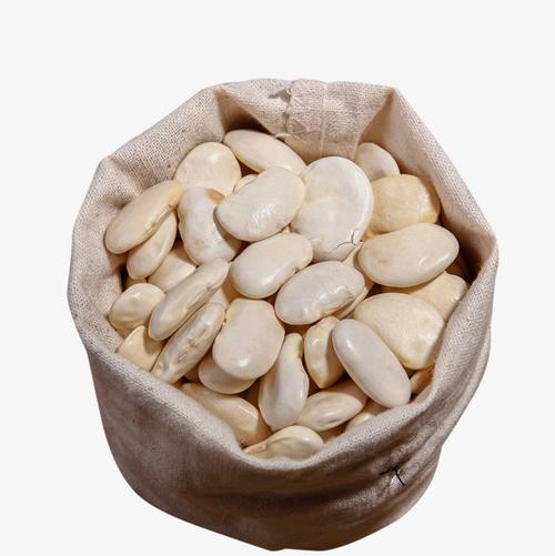 搜图中国提供优质高清原创设计素材免费下载一袋白芸豆主要针对元素所