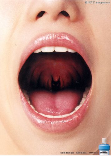 中时广告获奖作品 第十三届中国广告节获奖作品集 嘴巴 舌头; 中时