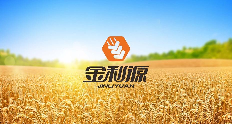 品牌设计-金利源