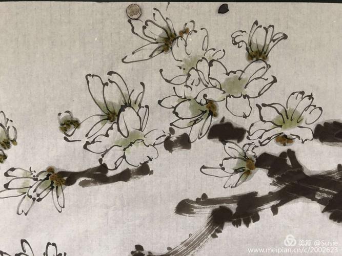 玉兰花 ——白如玉 香如兰 (己亥四月课程)