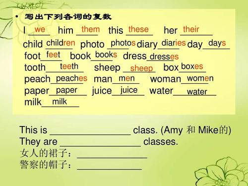 diary____ day_____ feet books foot____ book____ dress