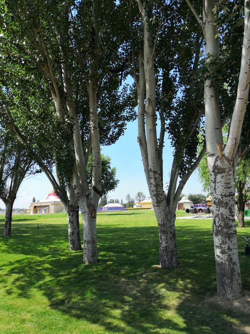 身边的美景,信手拍来,只要有一双善于发现的慧眼,司空