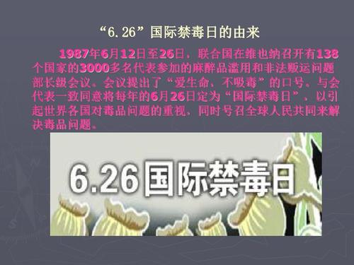 学校禁毒宣传教育ppt